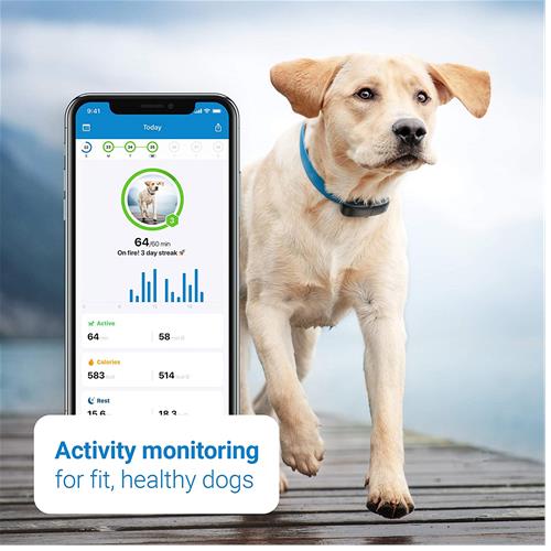 Tractive Dog GPS Tracker with Activity Monitoring, Fits any Collar